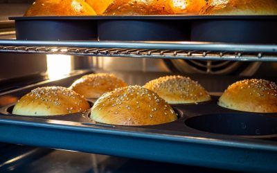 Pains à burger : Buns